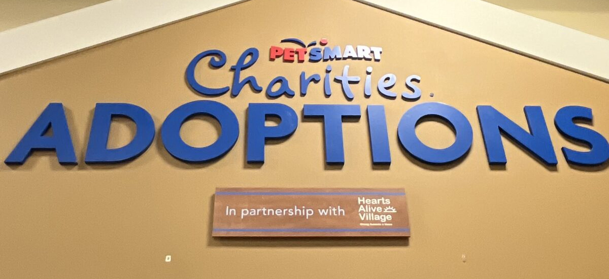Everyday Adoption Center