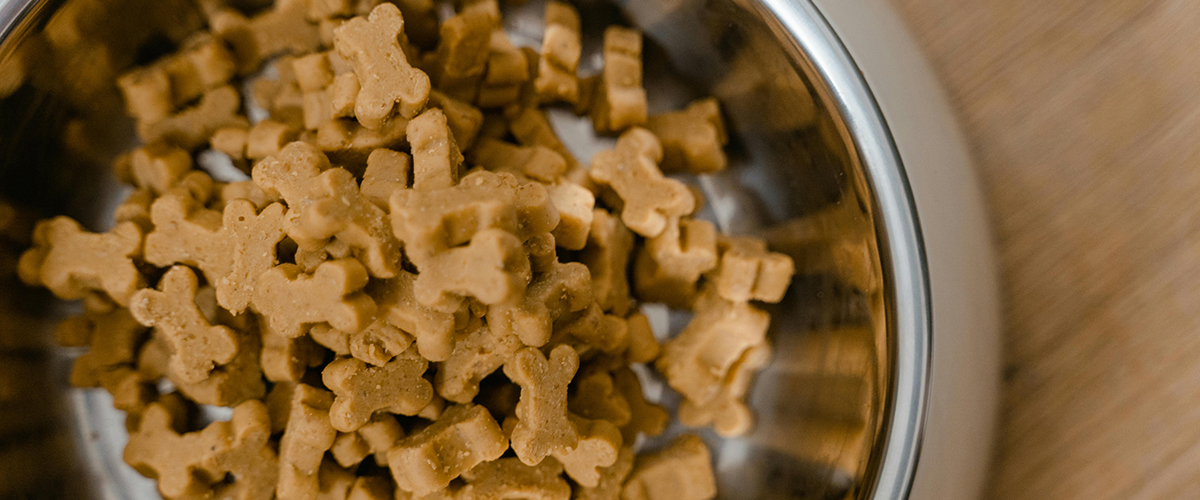 Pet Food Bank