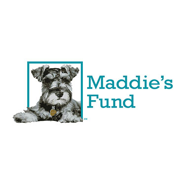 partner-maddie
