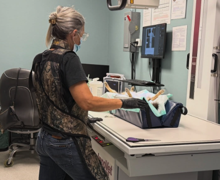 Vet Forensics